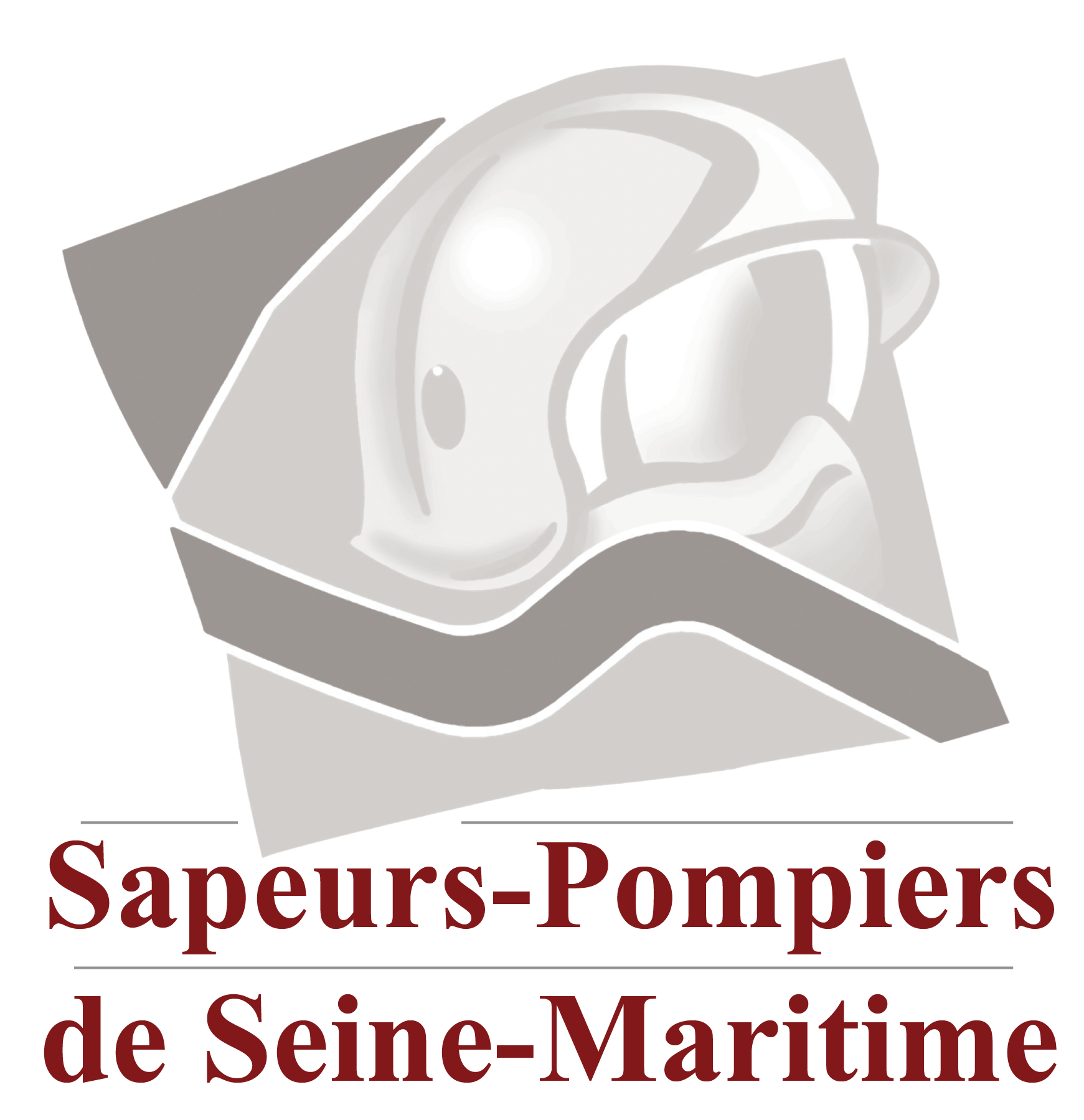 CHEF DE SERVICE - MEDECIN REFERENT  SERVICE SSSM SUD