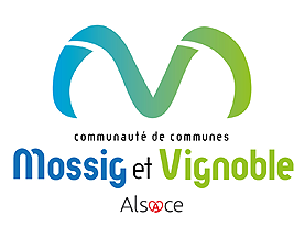 Responsable juridique et marchés publics